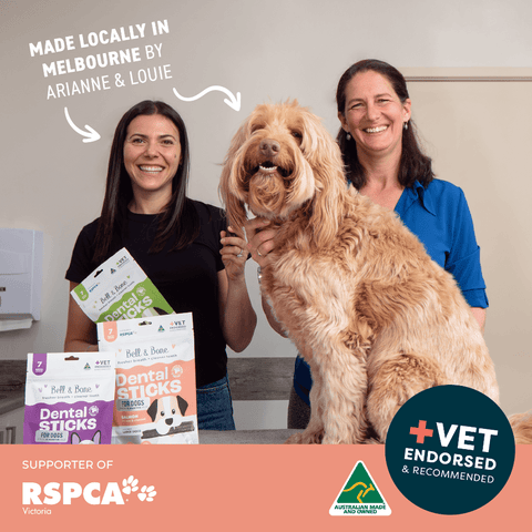 Salmon Mint And Charcoal Dental Dog Treats Medium