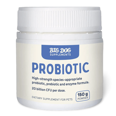 Probiotics For Dogs And Cats