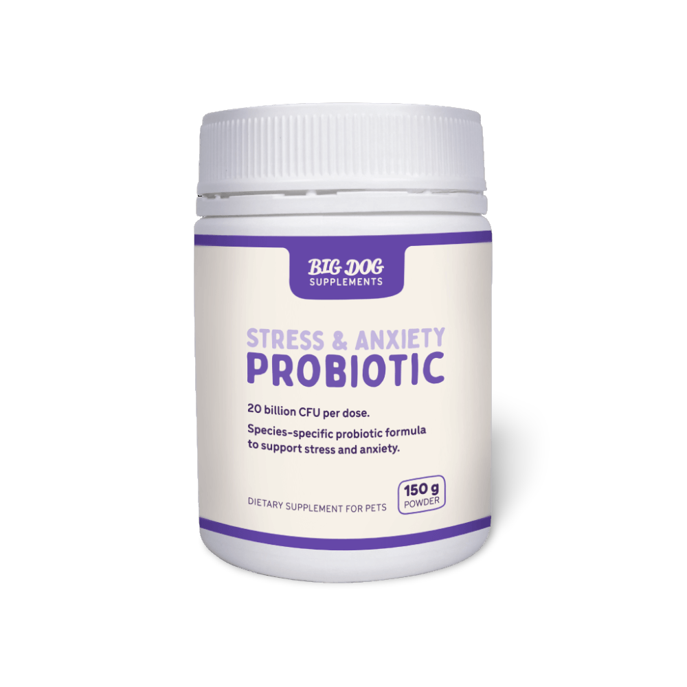 Stress And Anxiety Probiotics For Dogs And Cats