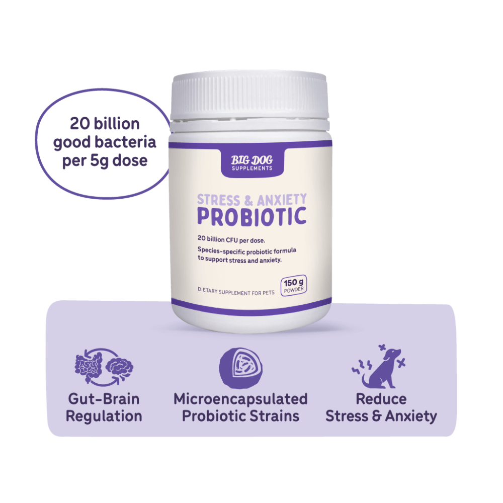 Stress And Anxiety Probiotics For Dogs And Cats