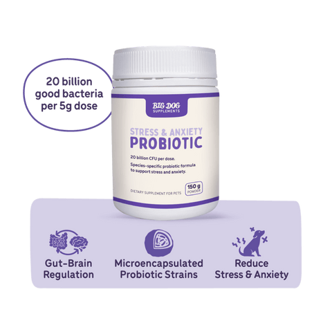 Stress And Anxiety Probiotics For Dogs And Cats