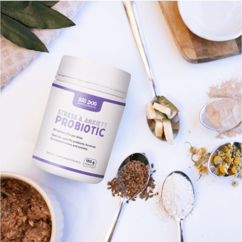 Stress And Anxiety Probiotics For Dogs And Cats