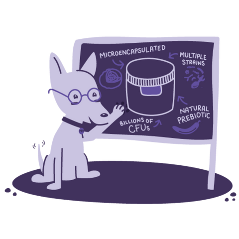 Stress And Anxiety Probiotics For Dogs And Cats