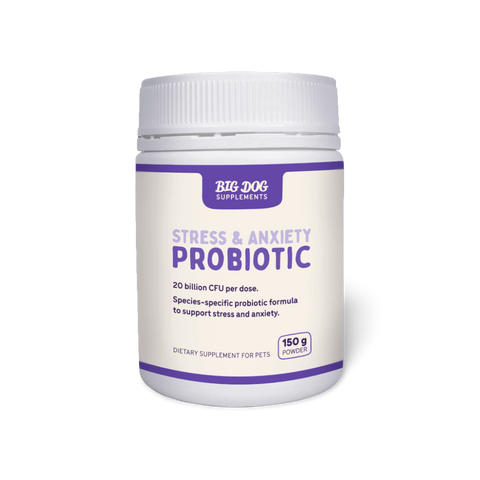 Stress And Anxiety Probiotics For Dogs And Cats