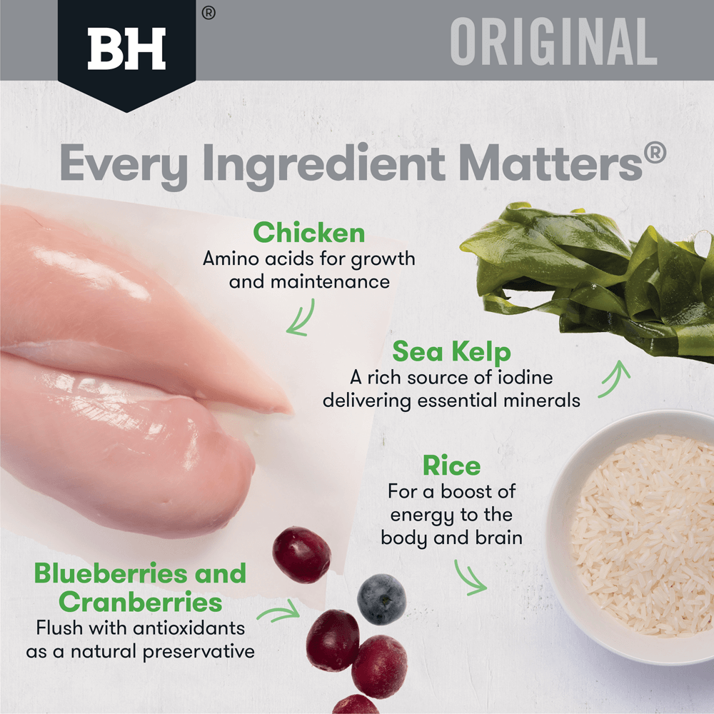 Chicken & Rice Adult Dry Dog Food