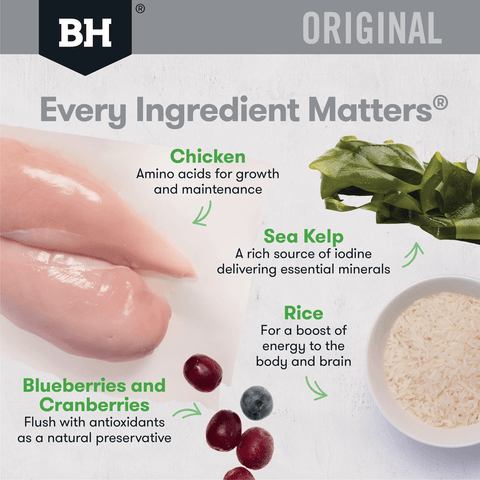 Chicken & Rice Adult Dry Dog Food