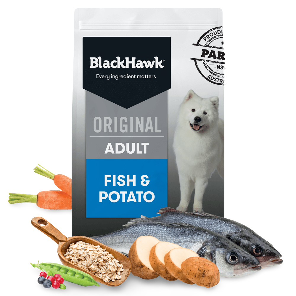 Fish & Potato Adult Dry Dog Food