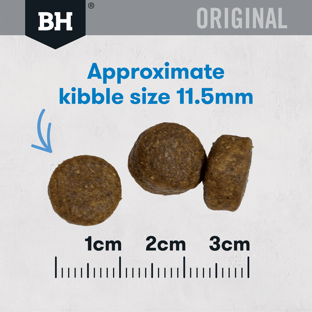 Fish & Potato Adult Dry Dog Food