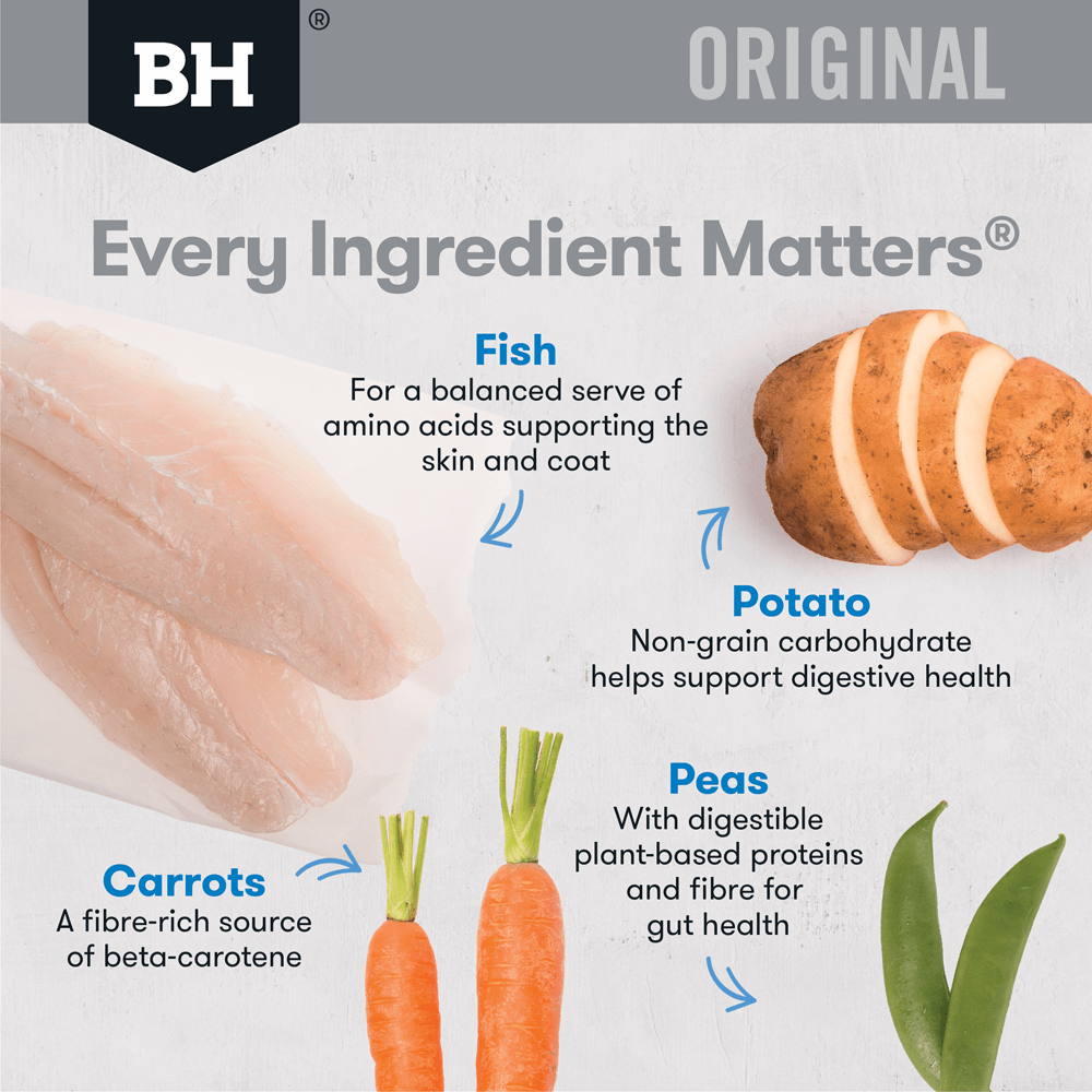 Fish & Potato Adult Dry Dog Food