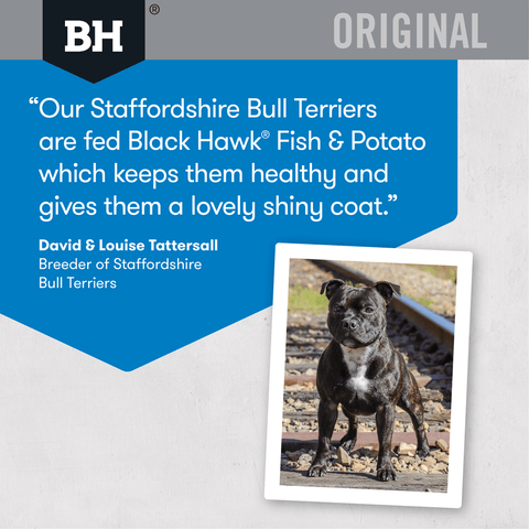 Fish & Potato Adult Dry Dog Food