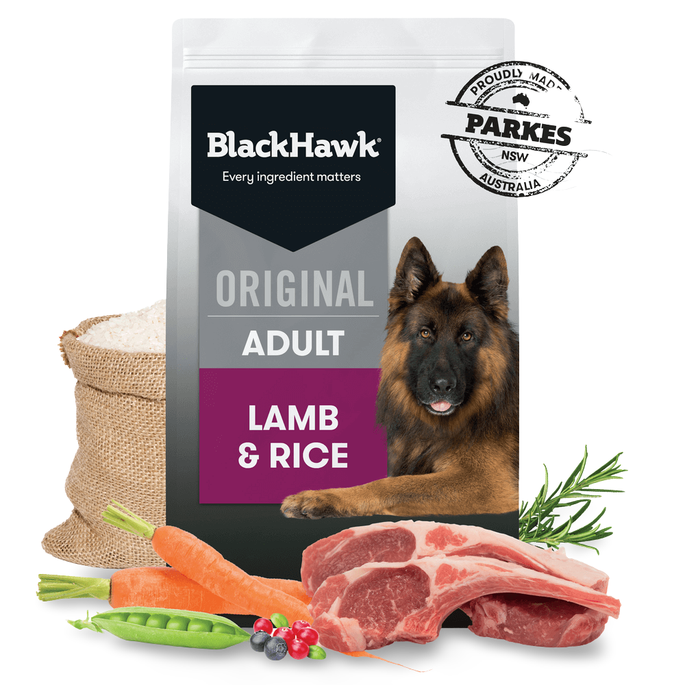 Lamb & Rice Adult Dry Dog Food