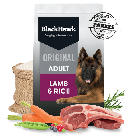 Lamb & Rice Adult Dry Dog Food