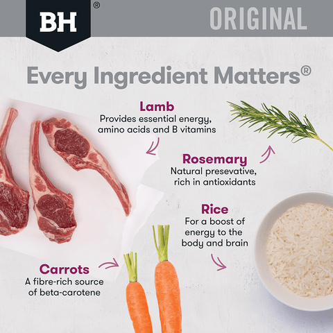 Lamb & Rice Adult Dry Dog Food