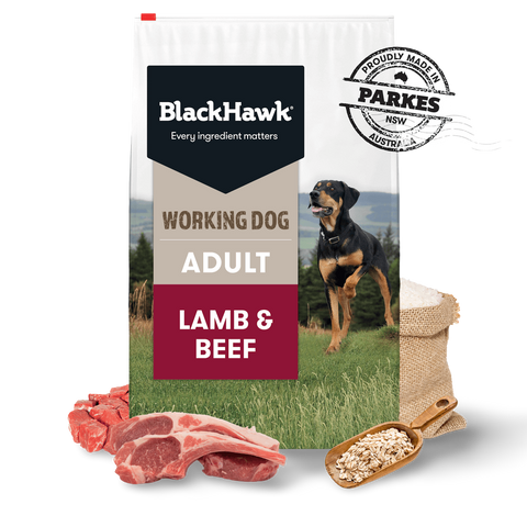Working Dog Beef Lamb Adult Dry Dog Food