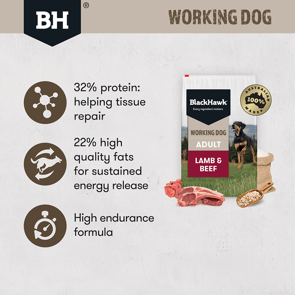 Working Dog Beef Lamb Adult Dry Dog Food