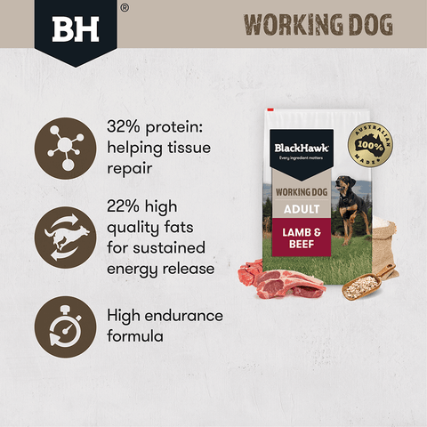 Working Dog Beef Lamb Adult Dry Dog Food