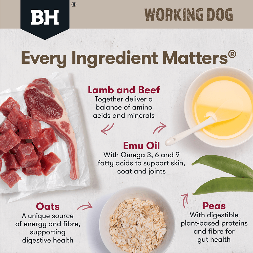 Working Dog Beef Lamb Adult Dry Dog Food