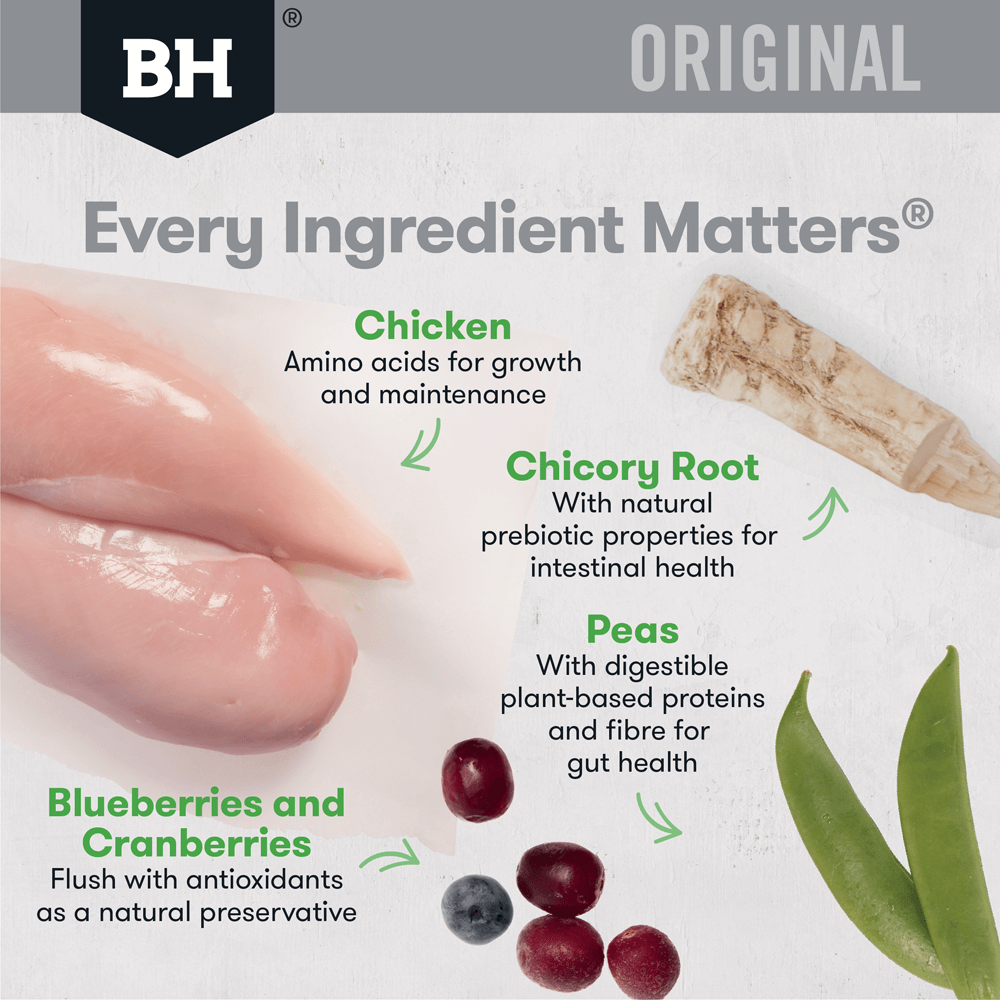 Chicken & Rice Large Breed Adult Dry Dog Food