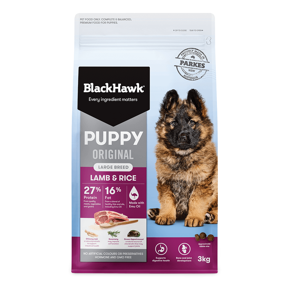 Original Lamb & Rice Large Breed Puppy Dry Dog Food