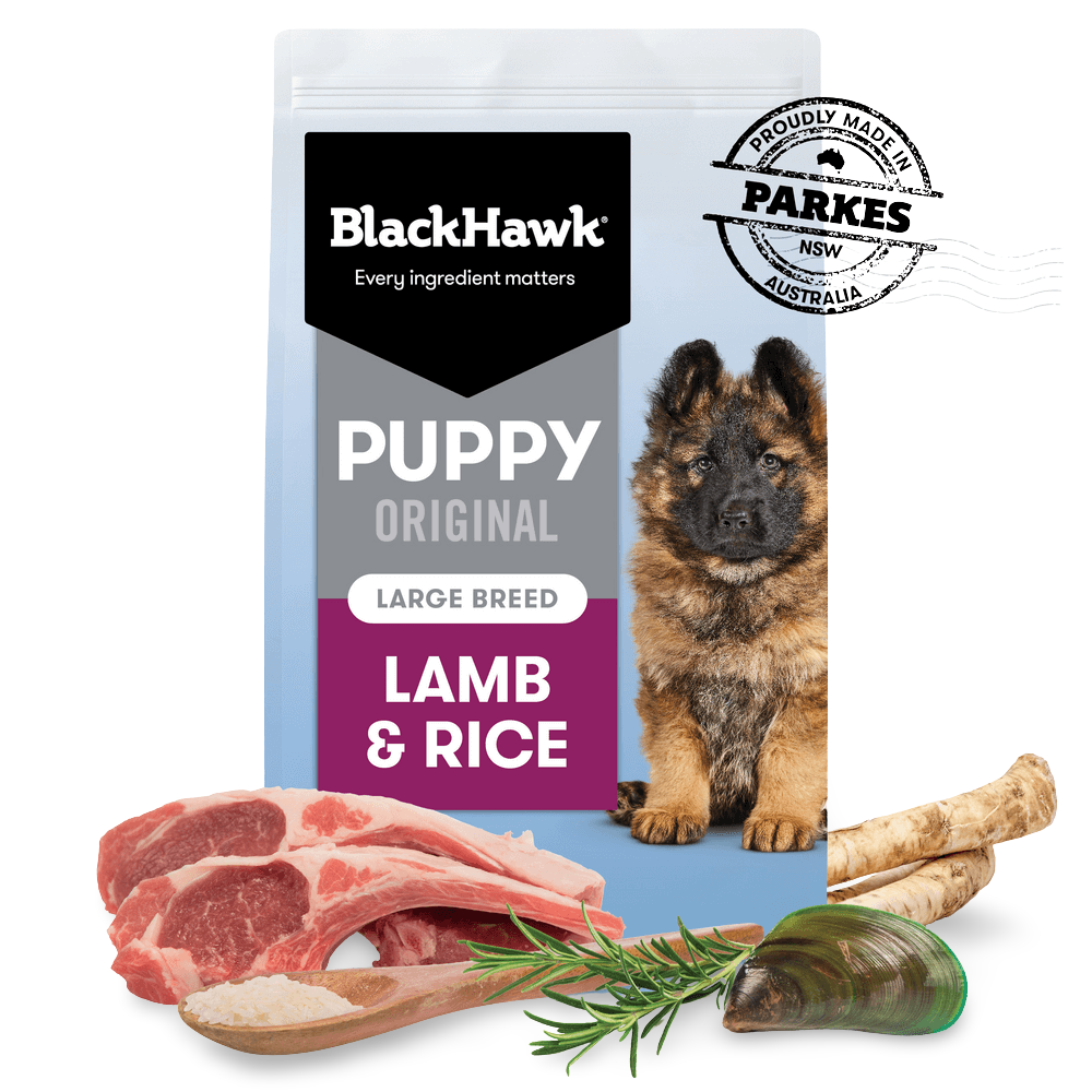 Original Lamb & Rice Large Breed Puppy Dry Dog Food