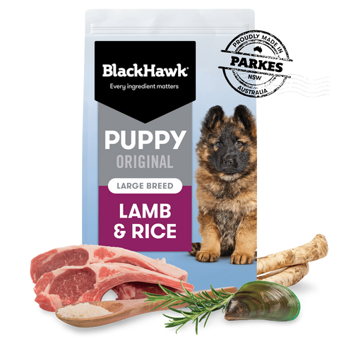 Original Lamb & Rice Large Breed Puppy Dry Dog Food