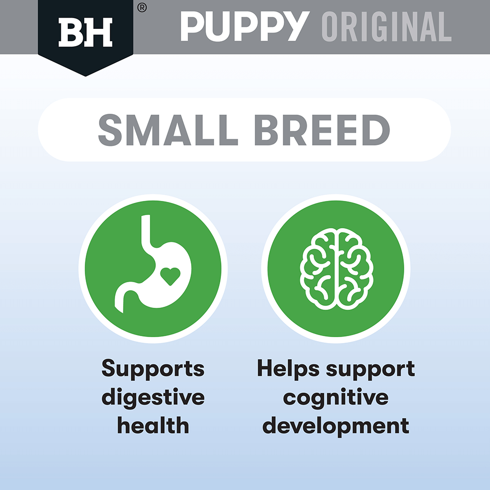 Original Chicken & Rice Small Breed Puppy Dry Dog Food