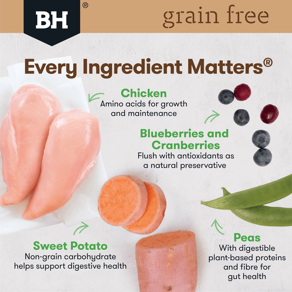 Chicken Grain Free Adult Dry Dog Food – petsome