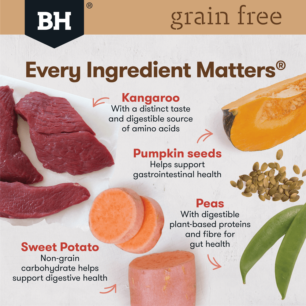 Kangaroo Grain Free Adult Dry Dog Food