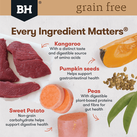 Kangaroo Grain Free Adult Dry Dog Food