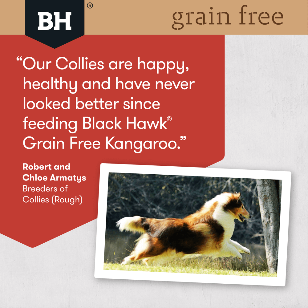 Kangaroo Grain Free Adult Dry Dog Food