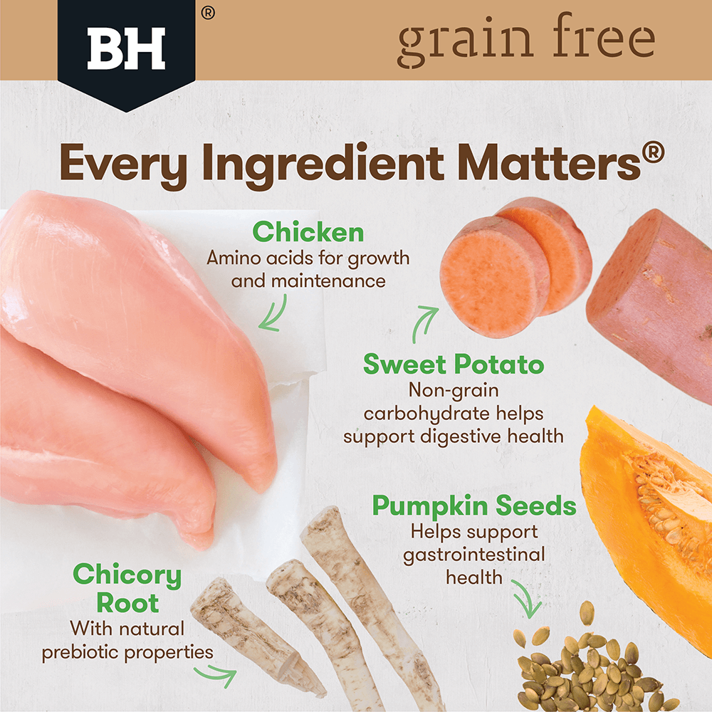 Chicken Large Breed Grain Free Adult Dry Dog Food