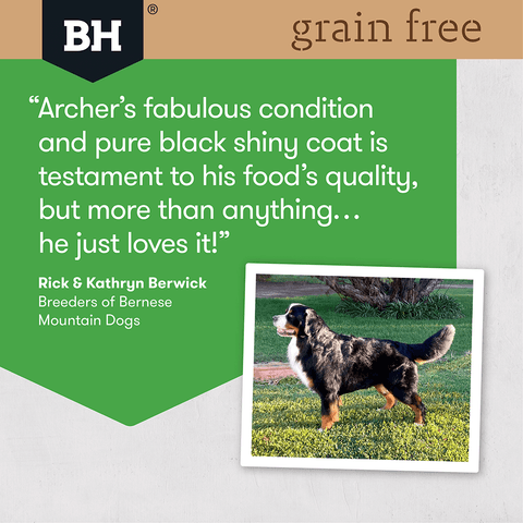 Chicken Large Breed Grain Free Adult Dry Dog Food