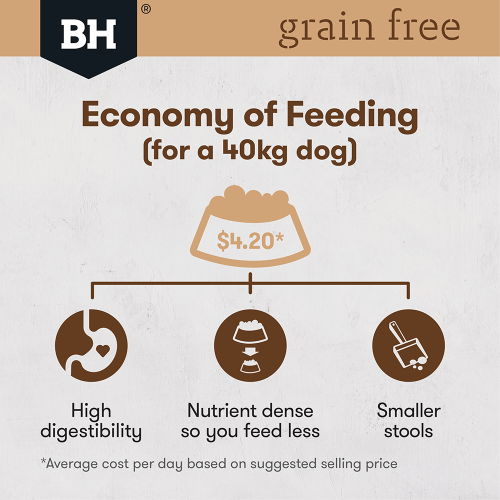 Chicken Large Breed Grain Free Adult Dry Dog Food