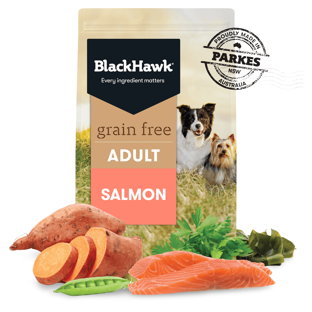 Salmon Grain Free Adult Dry Dog Food