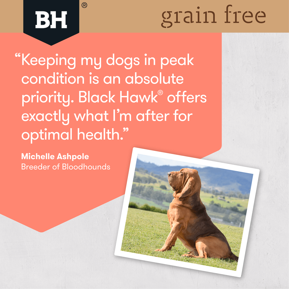 Salmon Grain Free Adult Dry Dog Food