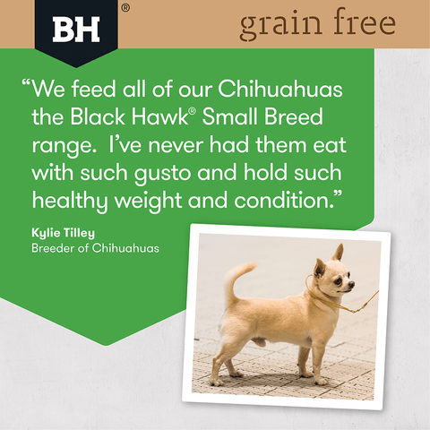 Chicken Grain Free Small Breed Adult Dry Dog Food