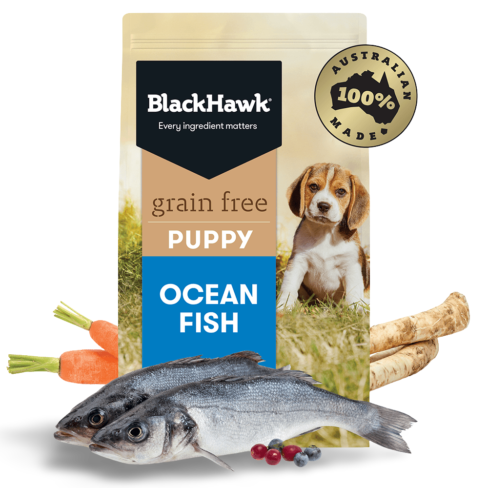 Wild Caught Ocean Fish Grain Free Puppy Dry Dog Food