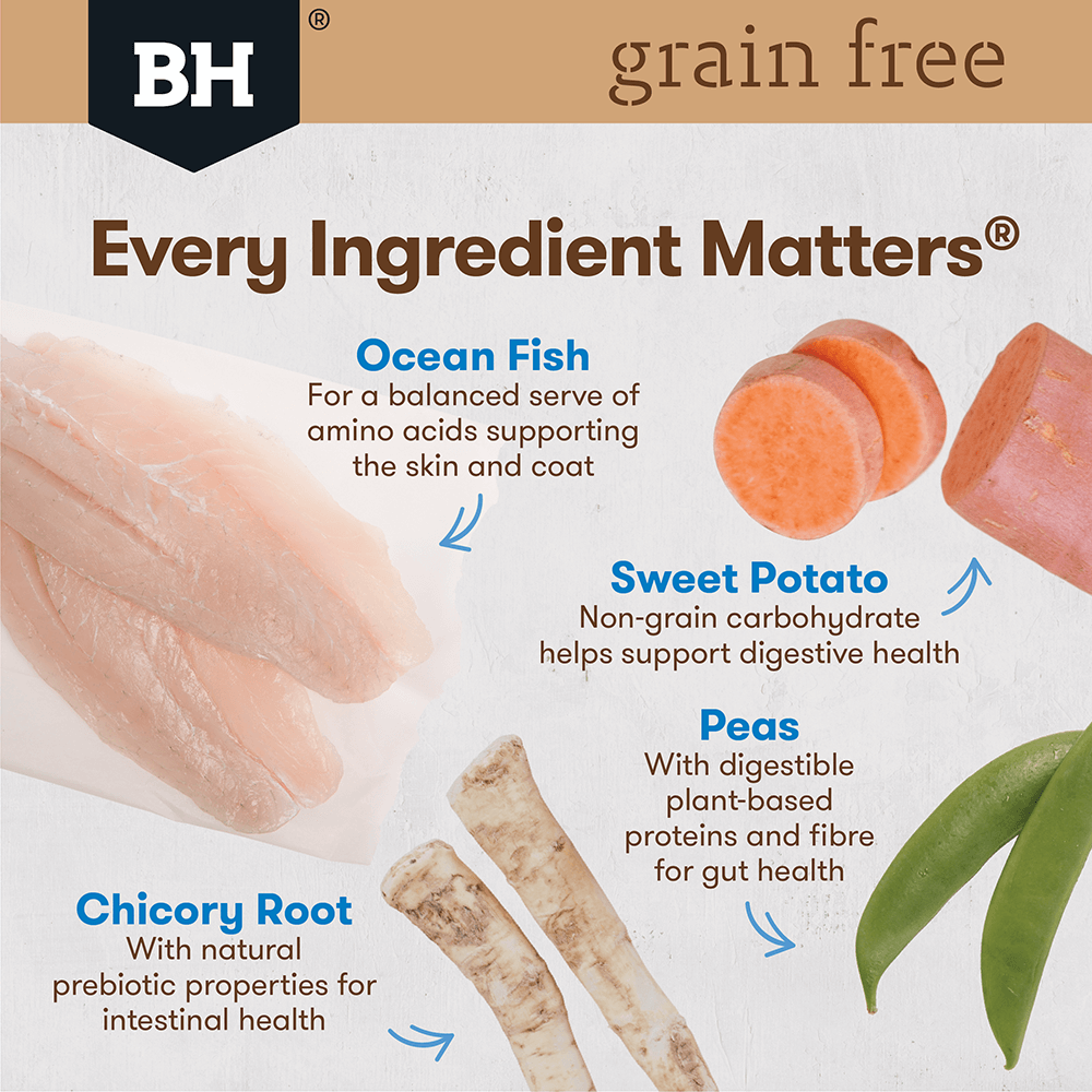 Wild Caught Ocean Fish Grain Free Puppy Dry Dog Food