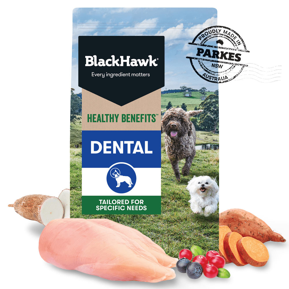 Healthy Benefits Dental Adult Dry Dog Food