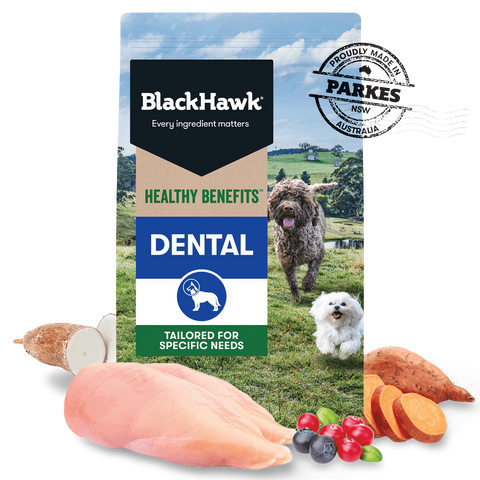 Healthy Benefits Dental Adult Dry Dog Food