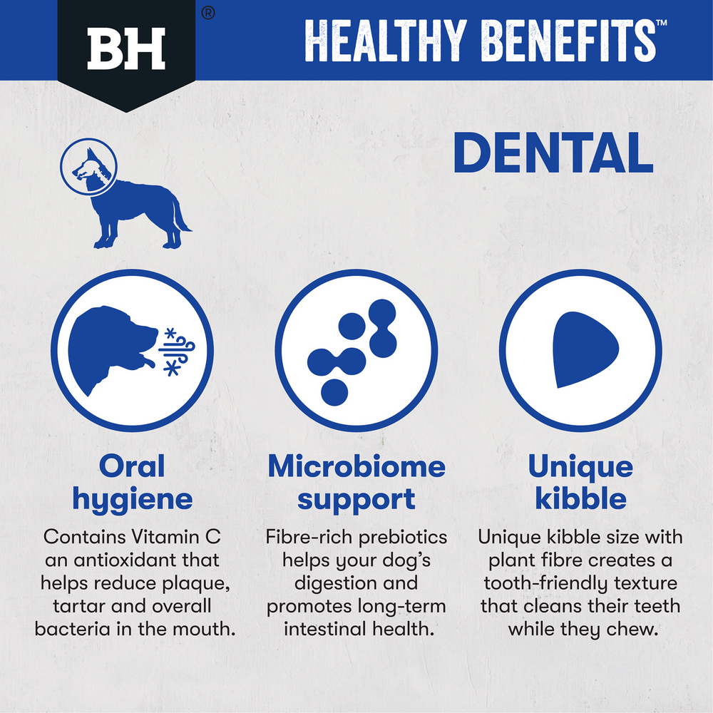 Healthy Benefits Dental Adult Dry Dog Food