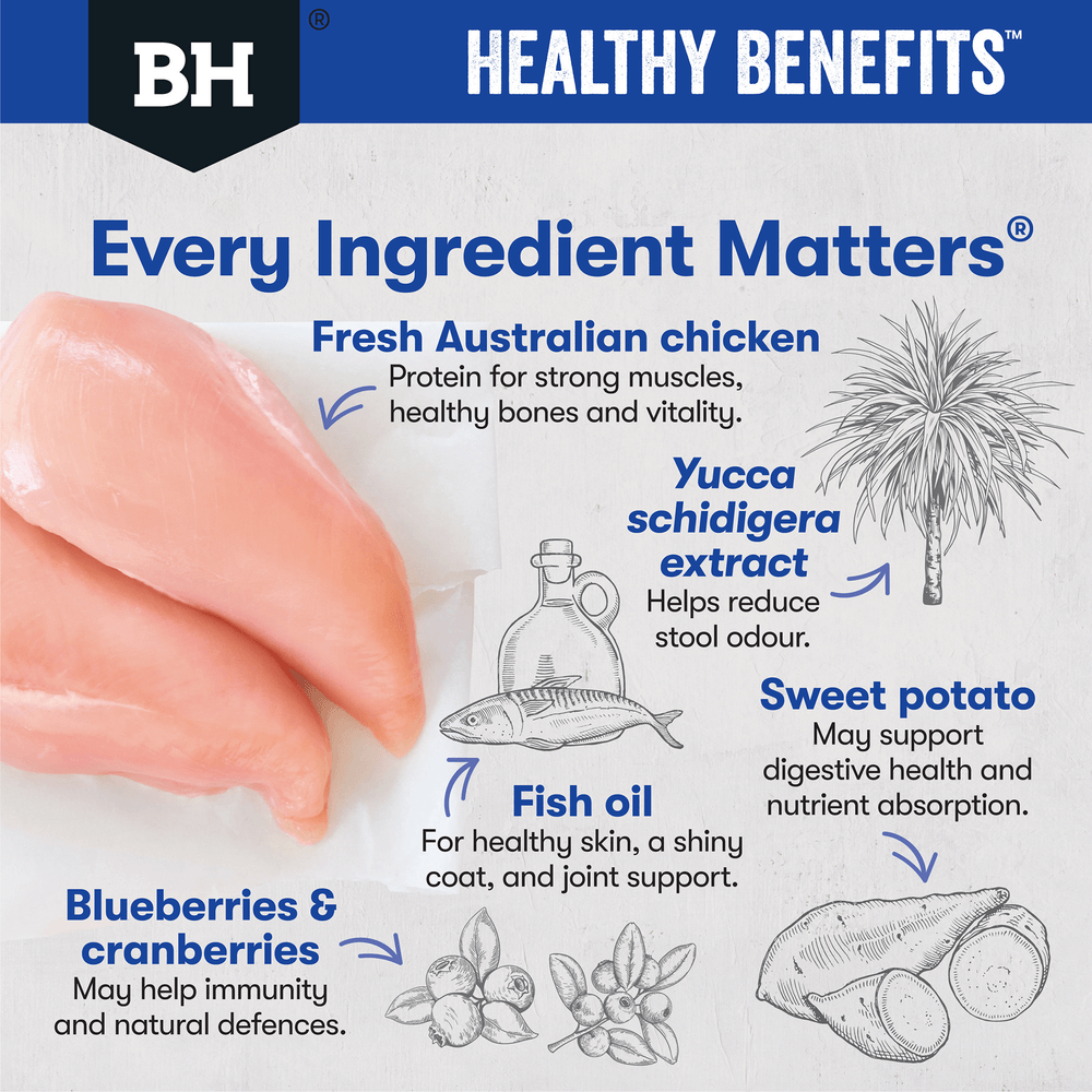 Healthy Benefits Dental Adult Dry Dog Food