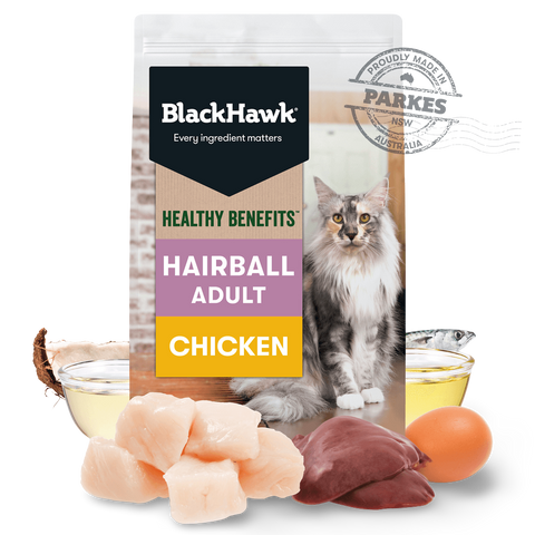 Healthy Benefits Dry Cat Food Adult Hairball Chicken