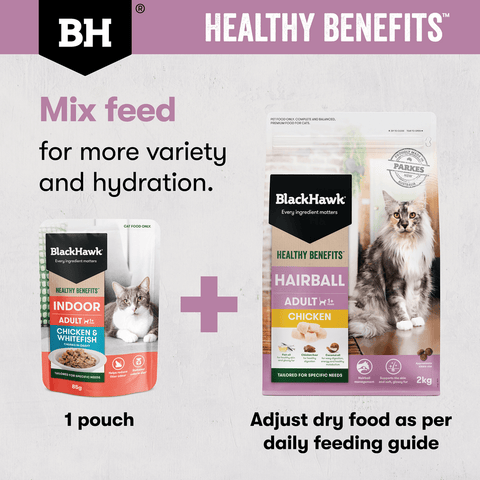 Healthy Benefits Dry Cat Food Adult Hairball Chicken