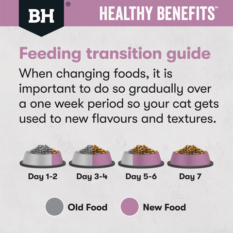 Healthy Benefits Dry Cat Food Adult Hairball Chicken