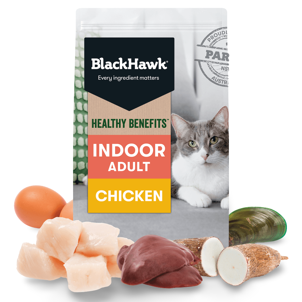 Healthy Benefits Dry Cat Food Adult Indoor Chicken