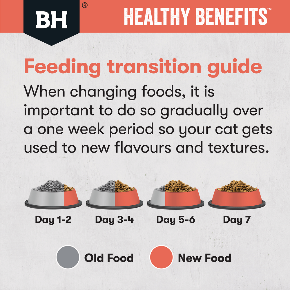 Healthy Benefits Dry Cat Food Adult Indoor Chicken