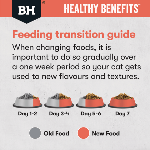 Healthy Benefits Dry Cat Food Adult Indoor Chicken