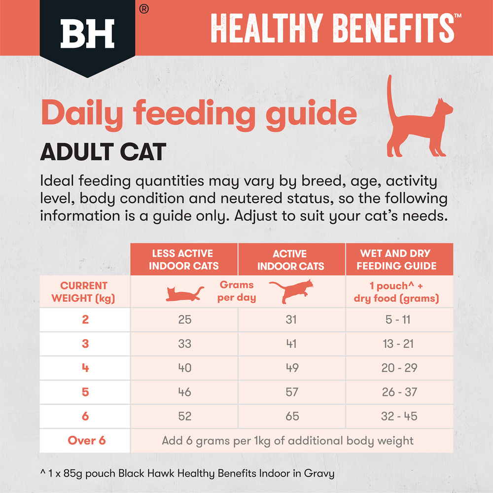 Healthy Benefits Dry Cat Food Adult Indoor Chicken