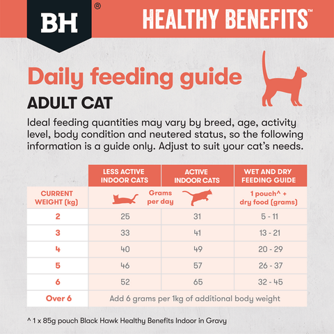 Healthy Benefits Dry Cat Food Adult Indoor Chicken